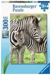 Zebra liefde - image 1 - Click to Zoom