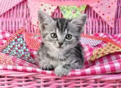 Lindo gatito - imagen 2 - Haga click para ampliar