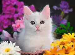 White Kitten 100p - Billede 2 - Klik for at zoome