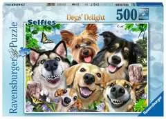 Adorables chiens - Image 1 - Cliquer pour agrandir