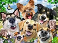 Adorables chiens - Image 2 - Cliquer pour agrandir