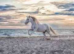 Paard op het strand - image 2 - Click to Zoom