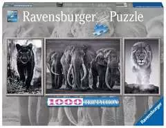 Panter, Elefanten, Löwe   1000p - bild 1 - Klicka för att zooma