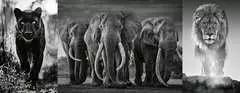 Panter, Elefanten, Löwe   1000p - Kuva 2 - Suurenna napsauttamalla