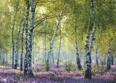 Birch Forest - Billede 2 - Klik for at zoome