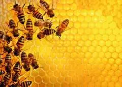 Challenge Puzzle: Včely na medové plástvi 1000 dílků - obrázek 2 - Klikněte pro zvětšení