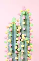 Kaktus 200 dílků - obrázek 2 - Klikněte pro zvětšení
