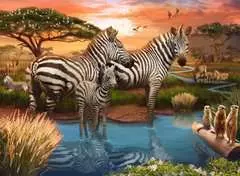 Zebra’s at waterhole - Billede 2 - Klik for at zoome