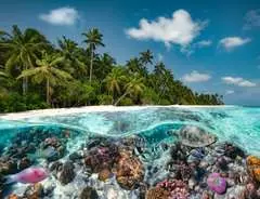 A Dive in the Maldives - Kuva 2 - Suurenna napsauttamalla
