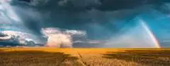 Obloha před bouřkou 1000 dílků Panorama - obrázek 2 - Klikněte pro zvětšení