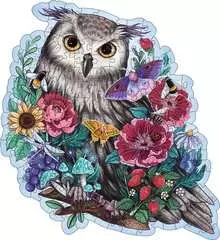 Mysterious Owl - image 2 - Click to Zoom