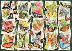 Tropical Butterflies - Billede 2 - Klik for at zoome