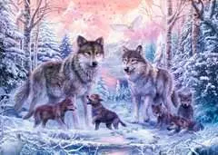 Arctische wolven - image 2 - Click to Zoom