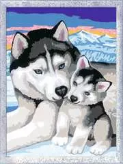 CreArt Serie D Classic - Huskies siberianos - imagen 1 - Haga click para ampliar