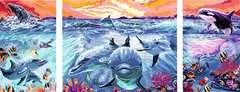 Dolphins at Sunset - Image 2 - Cliquer pour agrandir