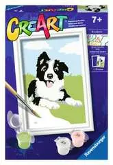 Border Collie - image 1 - Click to Zoom