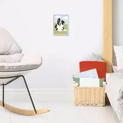 Border Collie - Image 6 - Cliquer pour agrandir