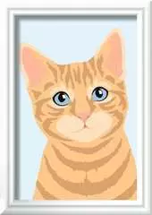 Orange Tabby - Image 1 - Cliquer pour agrandir