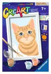 Orange Tabby - Image 2 - Cliquer pour agrandir