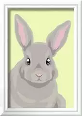 Gray Rabbit - image 1 - Click to Zoom