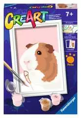 Guinea pig - Image 2 - Cliquer pour agrandir