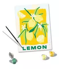 18x24cm - Lemon - Image 8 - Cliquer pour agrandir