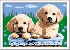 Cute Puppies - Image 1 - Cliquer pour agrandir