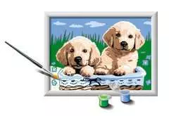 Cute Puppies - Image 2 - Cliquer pour agrandir