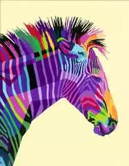 Zebra - image 3 - Click to Zoom