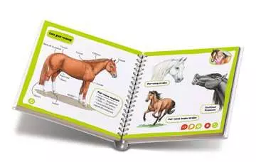 tiptoi® - Mini Doc  - Chevaux et poneys tiptoi®;tiptoi® livres - Image 4 - Ravensburger