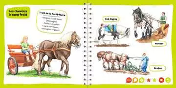 tiptoi® - Mini Doc  - Chevaux et poneys tiptoi®;tiptoi® livres - Image 10 - Ravensburger