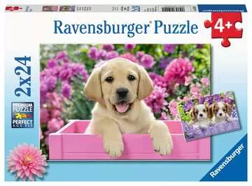 05029 1 かわいい子犬（24ピース×2） パズル;お子様向けパズル - 画像 1 - Ravensburger