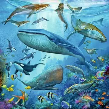 Ocean Life Puslespil;Puslespil for børn - Billede 3 - Ravensburger