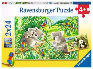SŁODKIE MISIE KOALA I PANDY 2X24 EL Puzzle;Puzzle dla dzieci - Zdjęcie 1 - Ravensburger