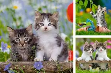 Chatons tigrés 3x49p Puzzles;Puzzles pour enfants - Image 2 - Ravensburger