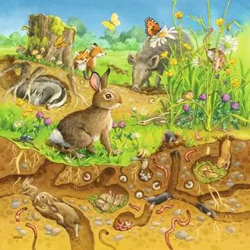 Zvířátka v přírodě 3x49 dílků 2D Puzzle;Dětské puzzle - obrázek 4 - Ravensburger