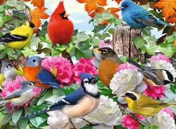 Oiseaux de jardin Puzzles;Puzzles pour adultes - Image 2 - Ravensburger