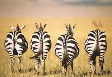 Zebra 300 dílků 2D Puzzle;Puzzle pro dospělé - obrázek 2 - Ravensburger