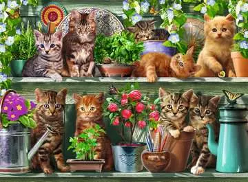 Kočky na poličkách mezi květinami 500 dílků 2D Puzzle;Puzzle pro dospělé - obrázek 2 - Ravensburger