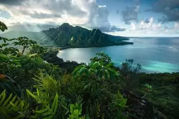 Hawaiian Viewpoint        5000p Palapelit;Aikuisten palapelit - Kuva 1 - Ravensburger