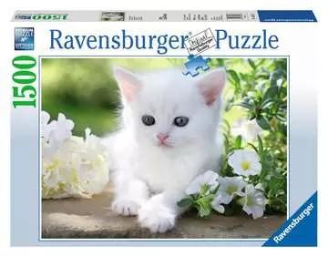 BIAŁY KOTEK 1500EL Puzzle;Puzzle dla dorosłych - Zdjęcie 1 - Ravensburger