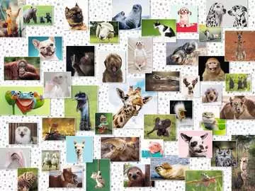 Funny Animals Collage     1500p Palapelit;Aikuisten palapelit - Kuva 2 - Ravensburger