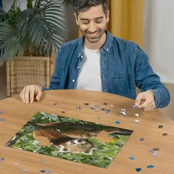 AT: Red Panda Foto 500p Palapelit;Aikuisten palapelit - Kuva 3 - Ravensburger