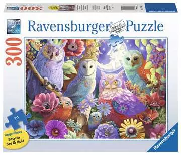 Night Owl Hoot Jigsaw Puzzles;Adult Puzzles - image 1 - Ravensburger