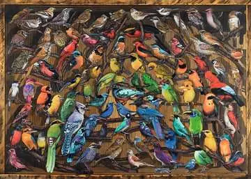 Rainbow of Birds Pussel;Vuxenpussel - bild 2 - Ravensburger