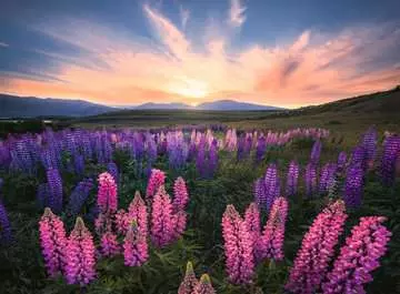 Lupines - Nature Edition Puzzles;Puzzle Adultos - imagen 2 - Ravensburger