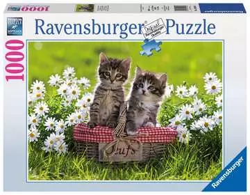 Koťátka 1000 dílků 2D Puzzle;Puzzle pro dospělé - obrázek 1 - Ravensburger