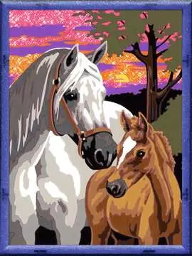 Sunset Horses Hobby;Schilderen op nummer - image 1 - Ravensburger