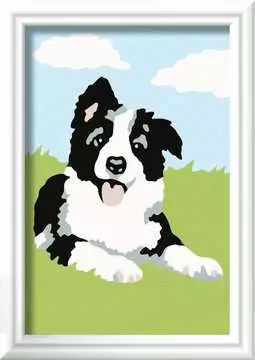 Border Collie Loisirs créatifs;Peinture - Numéro d’art - Image 1 - Ravensburger