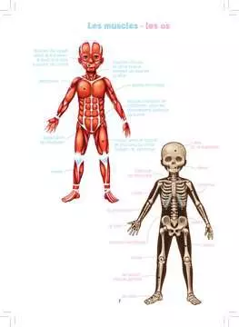 Le jeu du corps humain Jeux;Jeux éducatifs - Image 6 - Ravensburger
